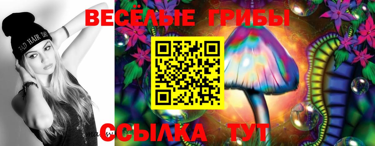 Псилоцибиновые грибы GOLDEN TEACHER Искитим