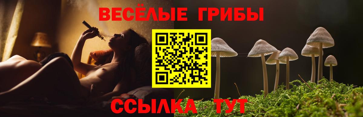 Псилоцибиновые грибы прущие грибы  цены наркотик  Искитим  Вход с VPN 